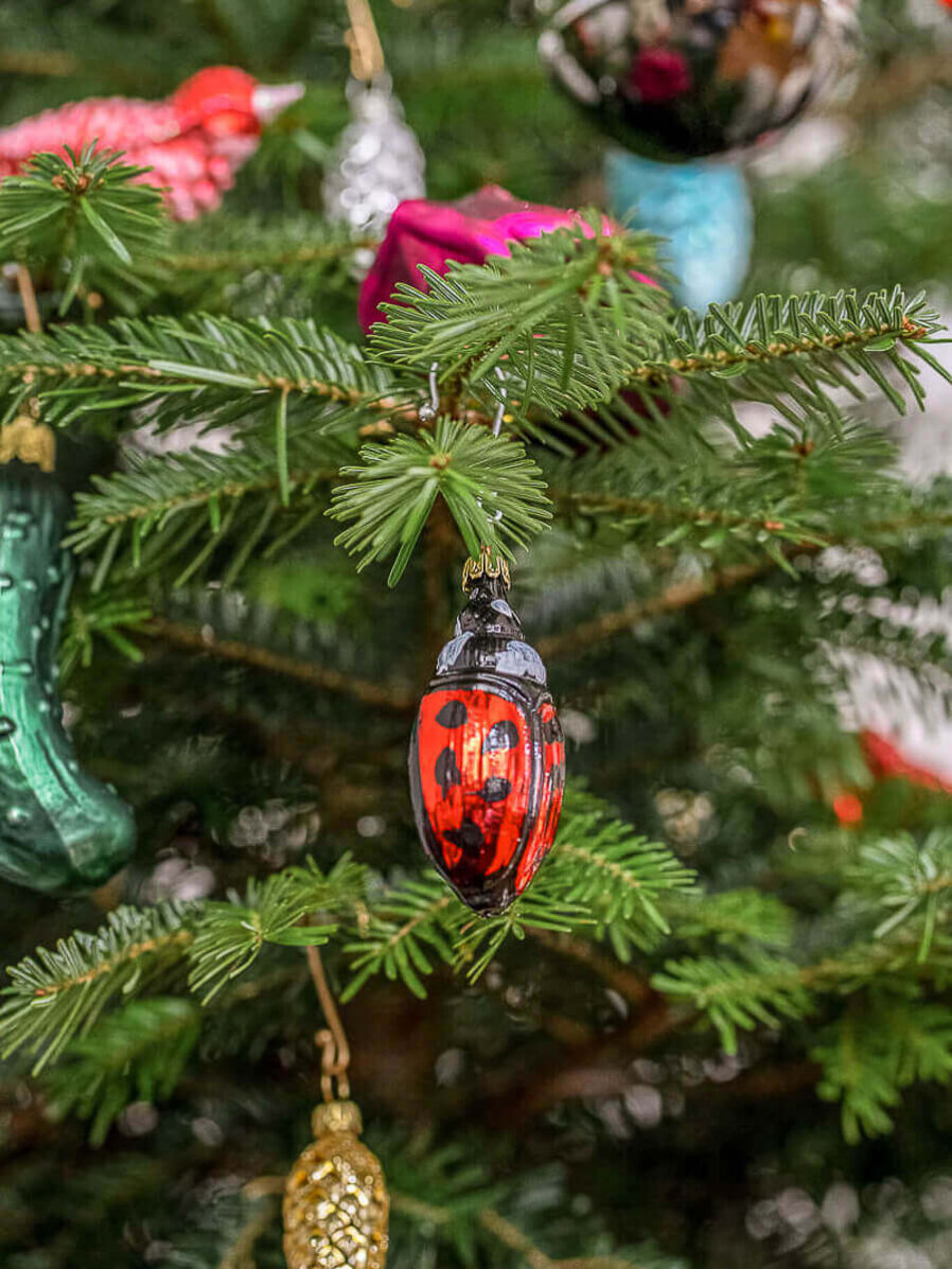 Marienkäfer am Weihnachtsbaum dekoriert